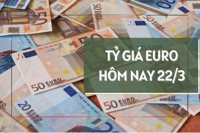 Tỷ giá euro hôm nay 22/3: Các ngân hàng đồng loạt tăng tỷ giá