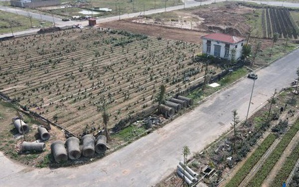 Chủ tịch Hà Nội yêu cầu chấm dứt 14 dự án 'ma' tại huyện Mê Linh