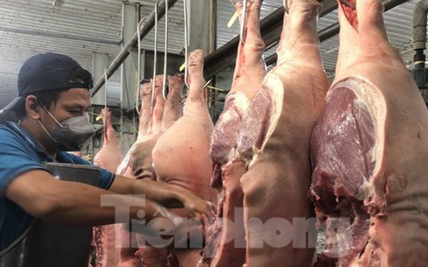 Giá thịt heo lao dốc