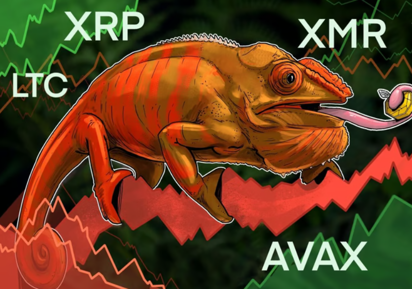 XRP, LTC, XMR và AVAX cho thấy các dấu hiệu tăng giá khi Bitcoin chiến đấu để giữ $28K