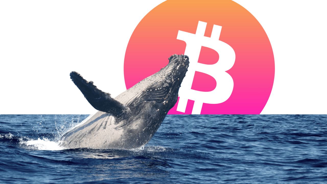 Những người chơi này đang kiểm soát thị trường Bitcoin