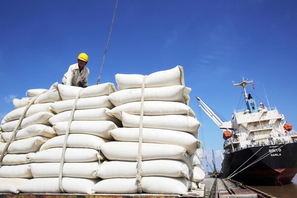 Xuất khẩu gạo sang Indonesia tăng đột biến 30.355%, Bộ Công Thương cảnh báo rủi ro