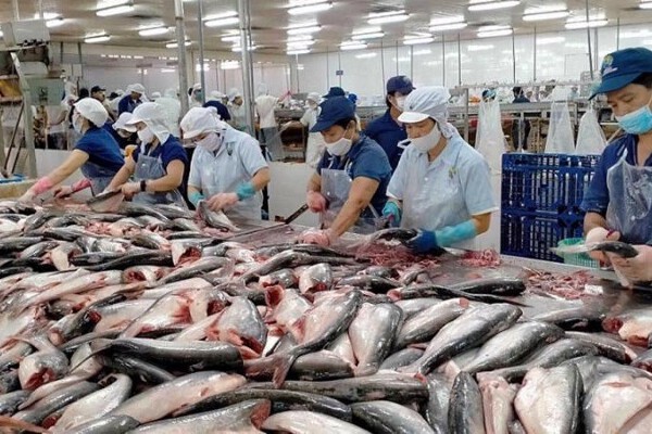 'Việc xuất khẩu thuỷ sản giảm sâu đã nằm trong dự báo, nhưng nhiều doanh nghiệp vẫn rất sốc'
