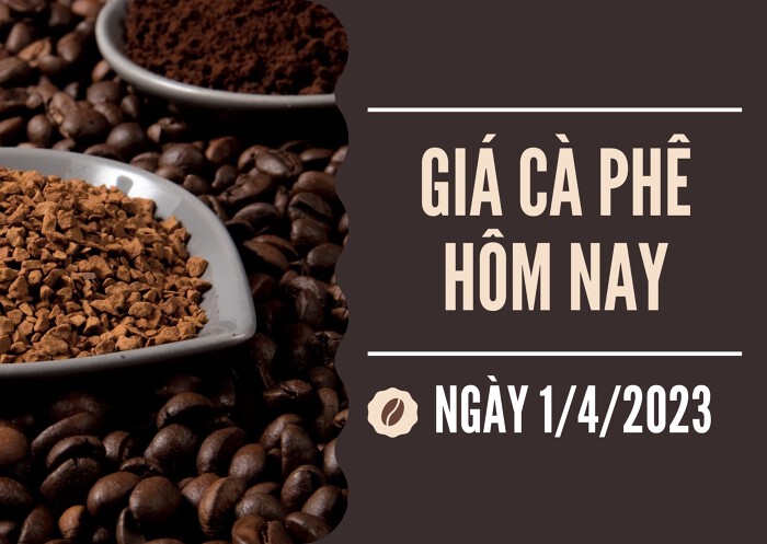 Giá cà phê hôm nay 1/4: Giảm 200 đồng/kg ngày cuối tuần