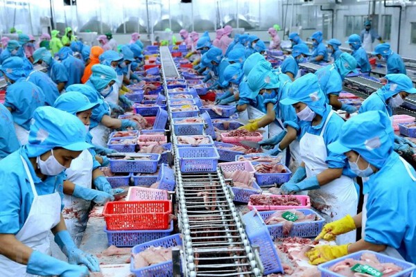 Xuất khẩu thuỷ sản có thể phục hồi tốt hơn từ quý III