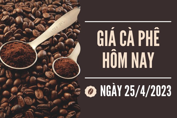 Giá cà phê hôm nay 25/4: Tăng 700 đồng/kg, vượt mốc 51.000 đồng/kg