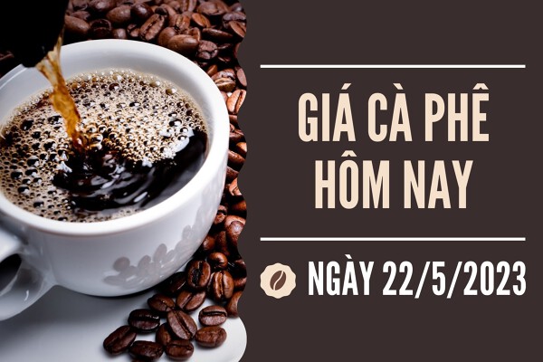Giá cà phê hôm nay 22/5: Cán mốc 60.000 đồng/kg