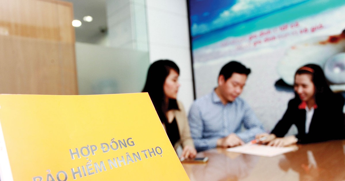 Bảo hiểm 