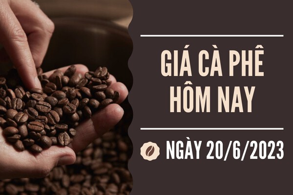 Giá cà phê hôm nay 20/6: Vượt mốc 67.000 đồng/kg