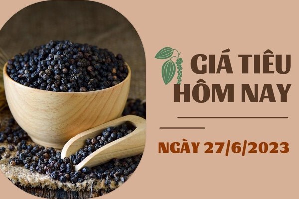 Giá tiêu hôm nay 27/6: Thị trường trầm lắng, cao su biến động dưới 1%