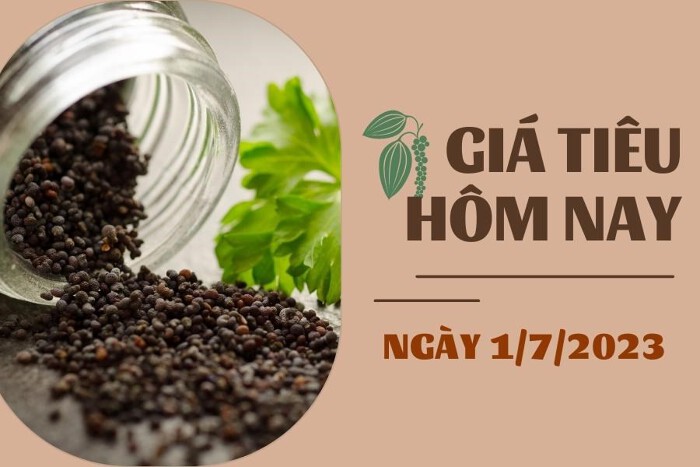 Giá tiêu hôm nay 1/7: Tiếp tục giảm, cao su SHFE tăng hơn 0,5%