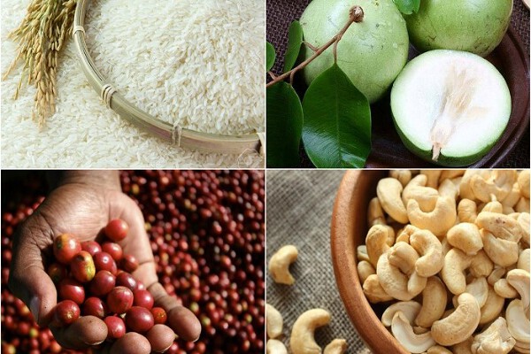Bản tin thị trường nông, lâm, thủy sản số ra ngày 30/6/2023