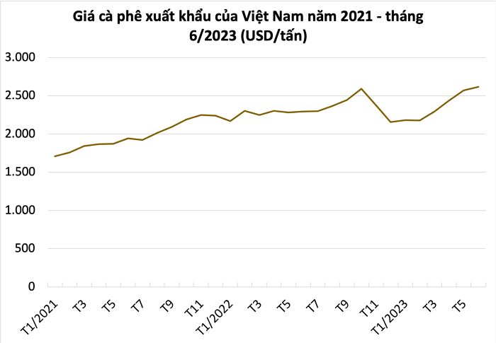 Xuất khẩu cà phê có thể giảm 50% trong 3 tháng còn lại của niên vụ