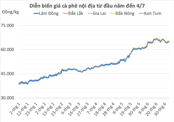 Xuất khẩu cà phê có thể giảm 50% trong 3 tháng còn lại của niên vụ