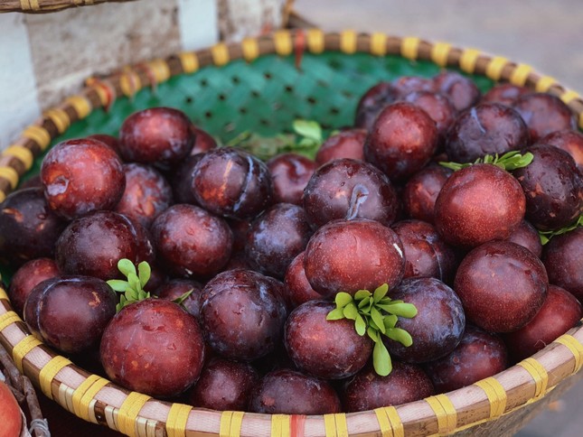 Hoa quả Trung Quốc ngập chợ Hà Nội, có loại xưng danh đắt nhất thế giới
