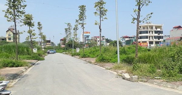 Hơn 300 lô đất tại nhiều tỉnh thành chuẩn bị đấu giá, khởi điểm chỉ từ 3,5 triệu đồng/m2