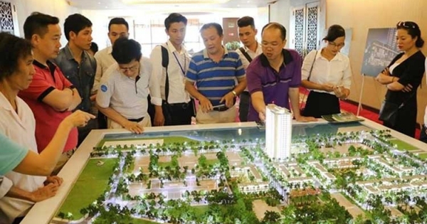 Doanh nghiệp tổ chức sàn giao dịch bất động sản phải chịu trách nhiệm trước nhà nước và pháp luật