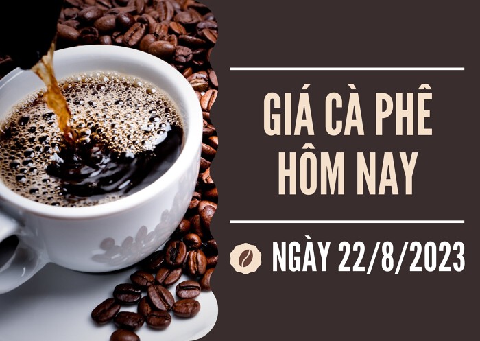 Giá cà phê hôm nay 22/8: Tăng từ 100 đồng/kg đến 200 đồng/kg