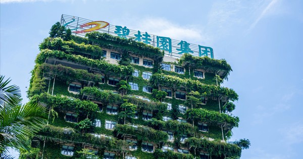 Nhà sáng lập Country Garden 'dốc tiền túi' 300 triệu USD và bán máy bay riêng để 'cứu' đế chế bất động sản