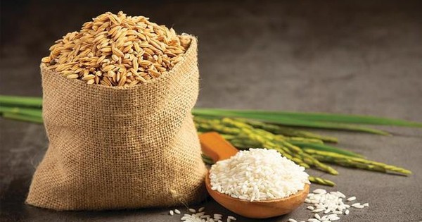 Rơi vào diện hạn chế và chỉ được giao dịch thứ Sáu hàng tuần, một cổ phiếu gạo giảm sàn 2 phiên liên tiếp