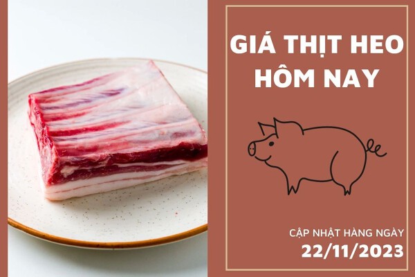 Giá thịt heo hôm nay 22/11: Giảm 2.000 đồng/kg tại Hà Hiền
