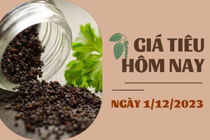 Giá tiêu hôm nay 1/12: Duy trì đà tăng tại thị trường trong nước