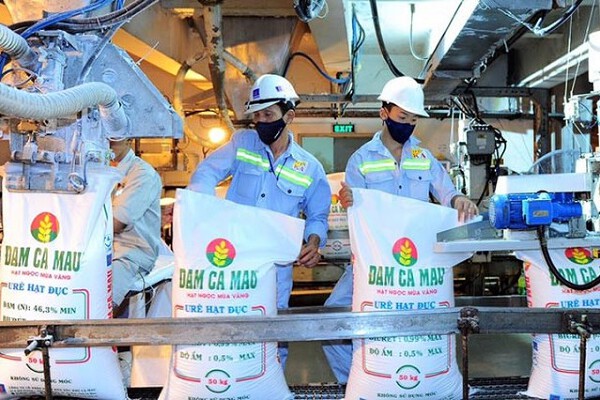 Những chuyển động tại Đạm Cà Mau trước thềm năm 2024