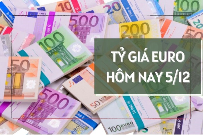 Tỷ giá euro hôm nay 5/12: Các ngân hàng tiếp tục giảm tỷ giá