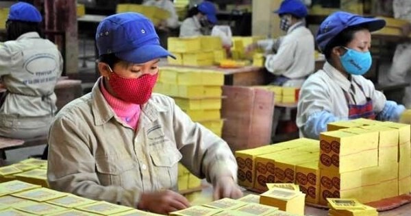 Công ty kinh doanh vàng mã trên sàn chốt chia cổ tức tổng tỷ lệ 100%