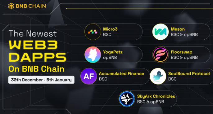 Binance chồng chất vấn đề khi BUSD mất vốn hóa thị trường