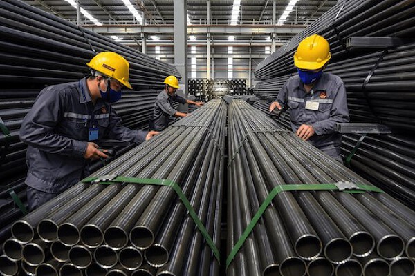 Hoa Sen muốn phát hành 5 triệu cổ phiếu ESOP với giá 10.000 đồng/cp