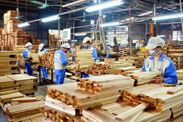 Bình Định đặt mục tiêu trở thành trung tâm chế biến lâm sản công nghệ cao​
