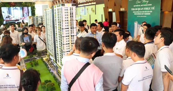 Sàn môi giới rầm rộ tuyển quân, mở rộng địa bàn hoạt động “chạy đua” với dự án mới