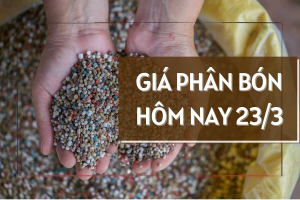Giá phân bón hôm nay 23/3: Duy trì đi ngang trong ngày cuối tuần