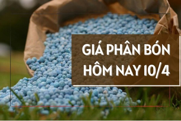 Giá phân bón không ghi nhận biến động mới trong ngày 10/4