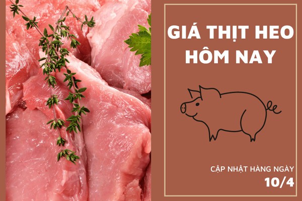 Giá thịt heo hôm nay (10/4) đi ngang, đuôi heo ổn định tại mức 150.000 đồng/kg