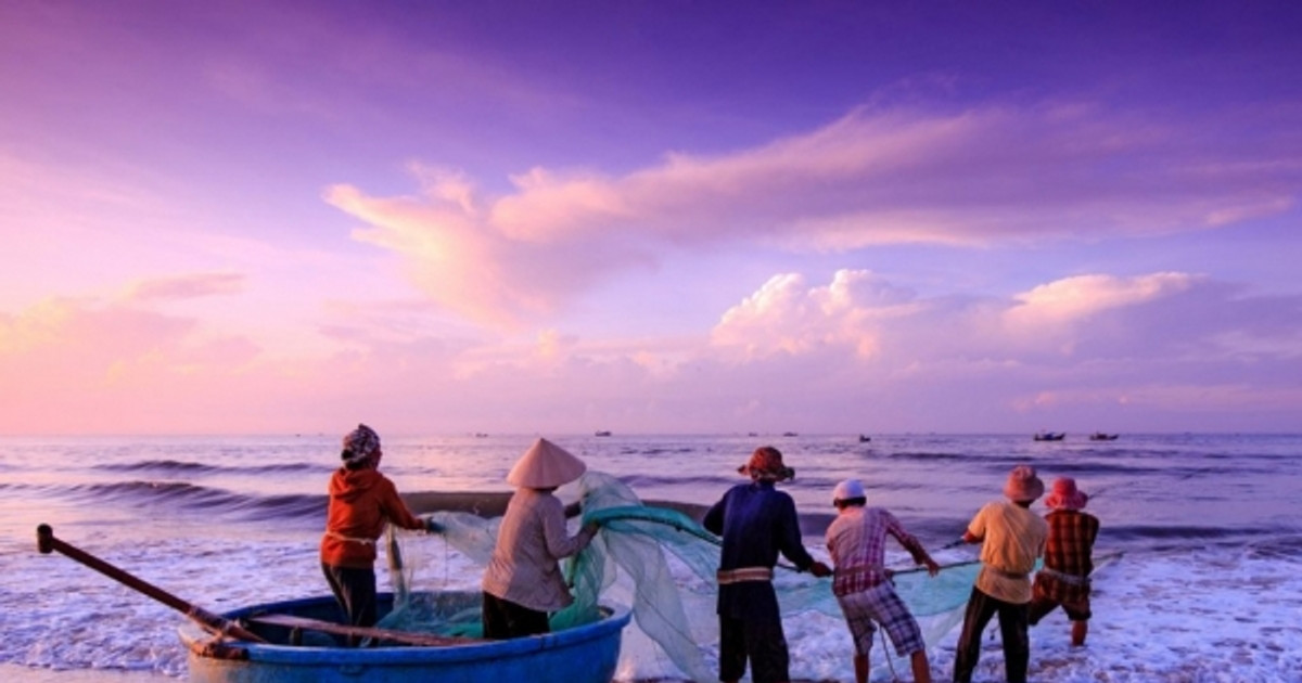 Nam Việt (ANV) đặt mục tiêu lợi nhuận 2024 tăng gấp 8 lần