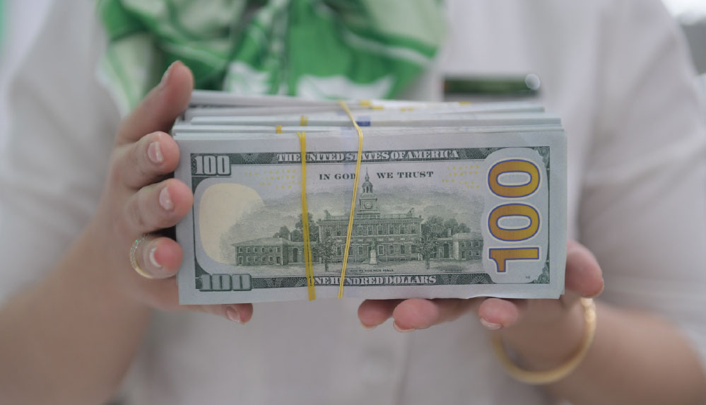 Áp lực tỷ giá nhìn từ cán cân thanh toán