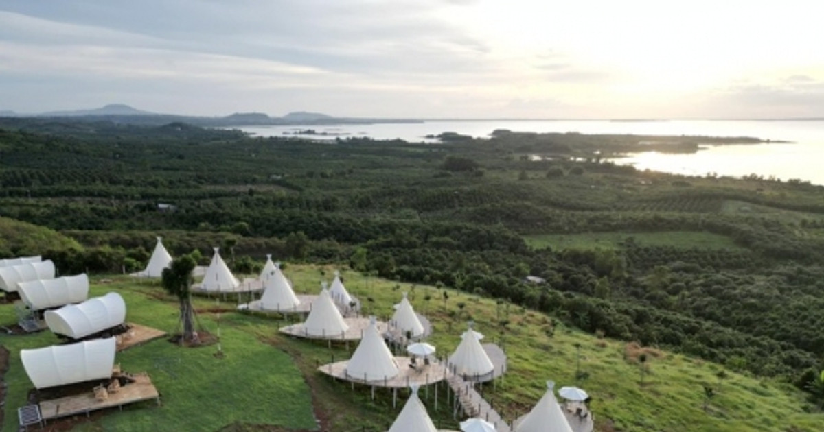 Homestay, Glamping cố ý lách luật, mọc lên “như nấm” tại tỉnh sát vách TP. HCM