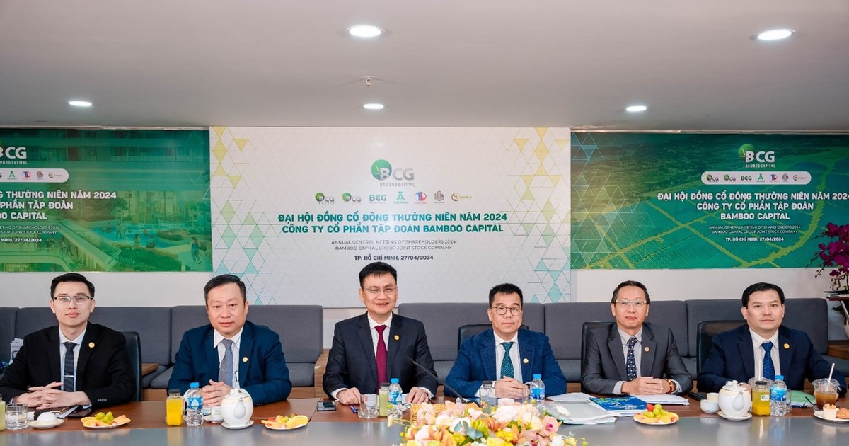 Bamboo Capital (BCG) có tân Chủ tịch, sẽ phát hành cổ phiếu thưởng cho cổ đông, đặt mục tiêu 