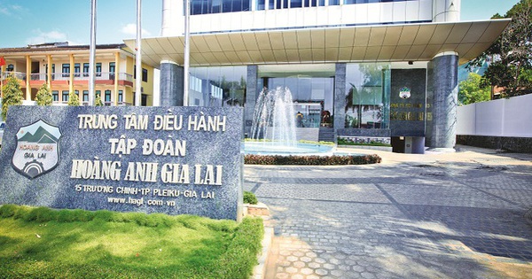 HAGL lãi 215 tỷ đồng trong quý 1/2024, giảm 26%, vẫn còn lỗ lũy kế 1.500 tỷ đồng