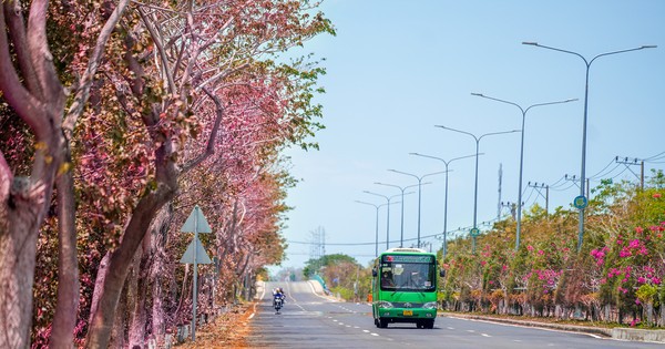 Tuyến đường độc đạo xuyên rừng đẹp như tranh ở TPHCM