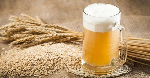 Doanh nghiệp đầu tiên sản xuất malt bia tại Việt Nam báo lỗ năm thứ 4 liên tiếp