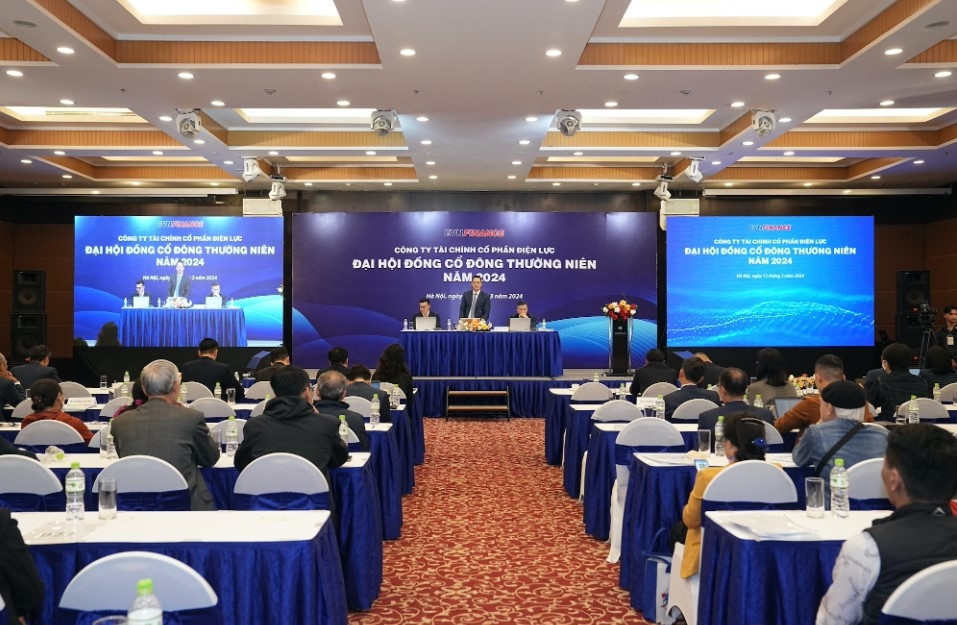 Profile tân Phó Chủ tịch HĐQT EVNFinance: Tốt nghiệp tại Pháp, 20 năm kinh nghiệm TC-NH, nhân tố quan trọng trong chiến lược mới của EVF