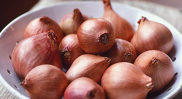 Loại củ là vua của các rau củ phòng trị bệnh, tốt cho tim mạch, ngừa bệnh mãn tính