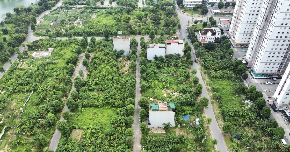Cọc tiền tỷ mua liền kề ở Hà Nội, khách phát hiện chủ đầu tư tự ý 'xé' quy hoạch