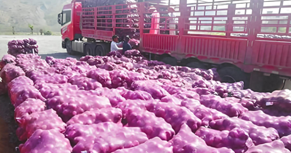 Nhận chở 20.000kg hành cho 1 người đàn ông, tài xế xe tải bất ngờ bị cảnh sát triệu tập: Tổn thất gấp 11 lần so với tiền công!