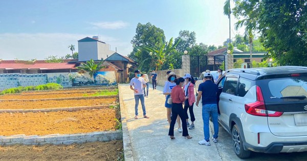 Xuất hiện rất nhiều nhà đầu tư đi 