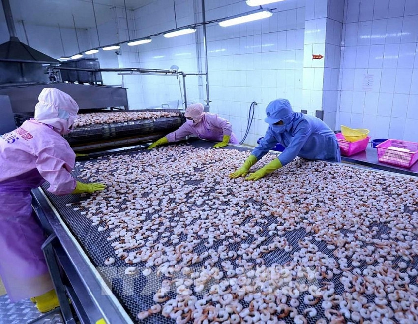 Vua tôm Minh Phú (MPC) muốn chia cổ tức tỷ lệ 50-70%