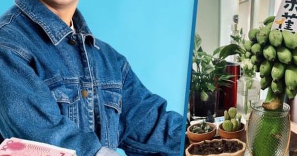 Chàng trai bỏ việc, kiếm 7 tỷ đồng/tháng nhờ bán chuối xanh 'chữa lành'